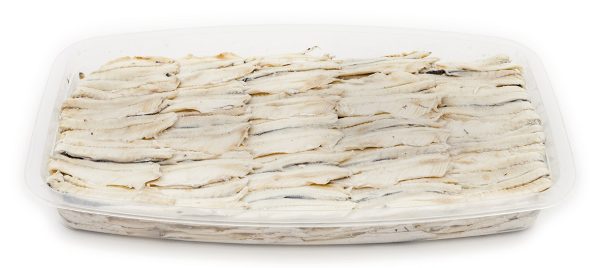 Tentacule de Poulpe – Image 4