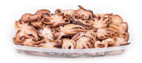 Tentacule de Poulpe – Image 7