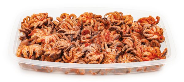 Tentacule de Poulpe – Image 8