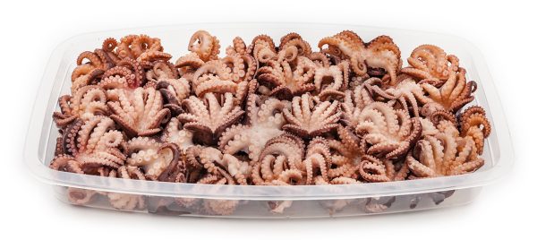 Tentacule de Poulpe – Image 9