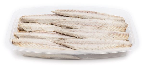 Tentacule de Poulpe – Image 18