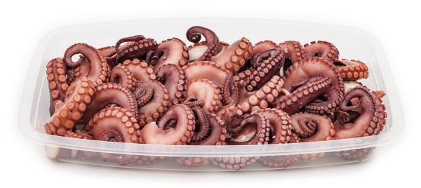 Tentacule de Poulpe – Image 34